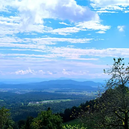 Bed & Breakfast Pavlin Senturska Gora