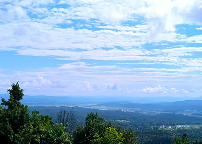 Pavlin Oda ve Kahvaltı 3*