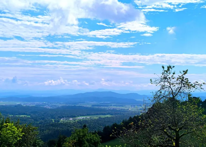 Oda ve Kahvaltı Pavlin Senturska Gora